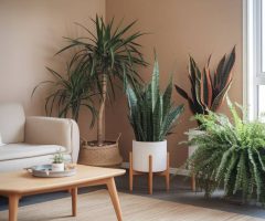 « Comment intégrer des plantes dépolluantes dans sa maison pour un intérieur plus sain »