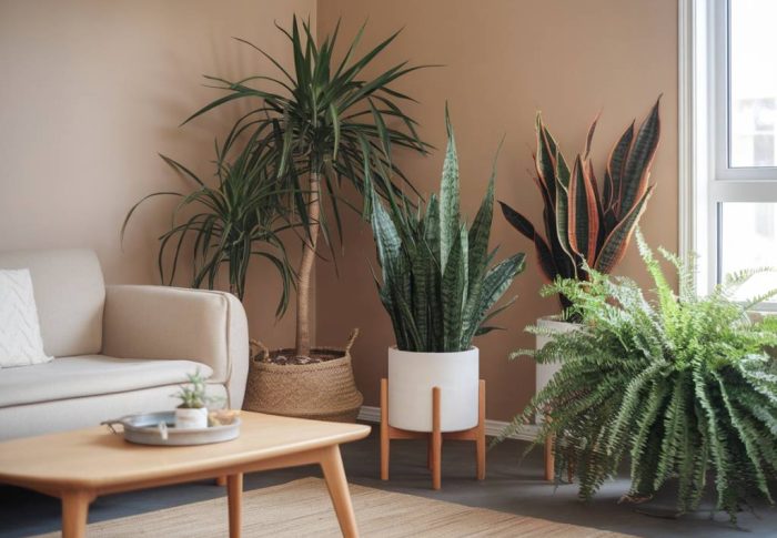 « Comment intégrer des plantes dépolluantes dans sa maison pour un intérieur plus sain »