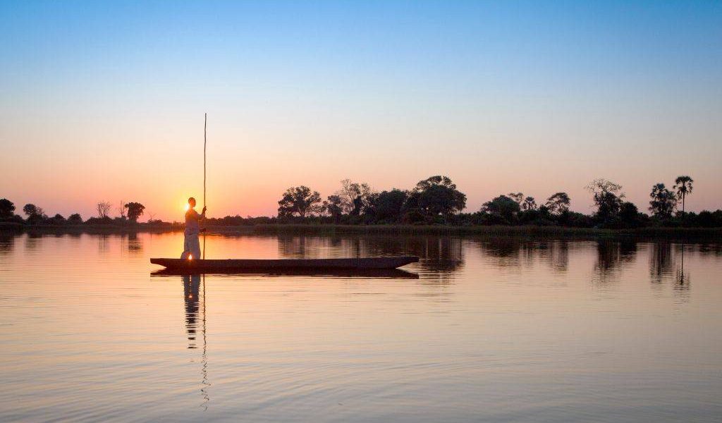 Botswana : quand partir pour un safari mémorable