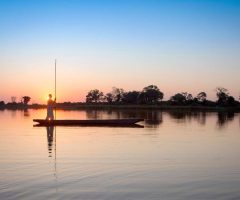 Botswana : quand partir pour un safari mémorable