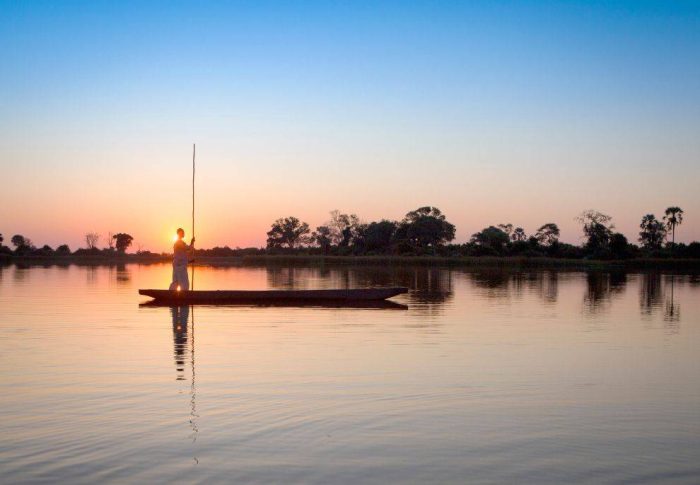 Botswana : quand partir pour un safari mémorable