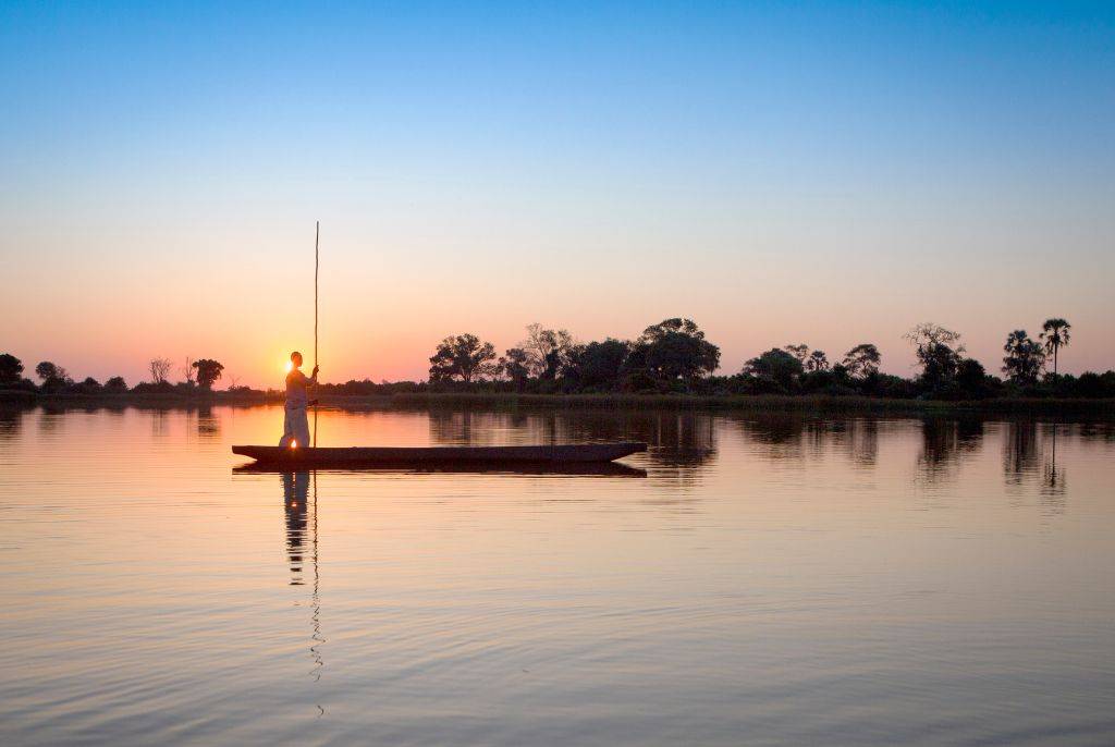 Botswana : quand partir pour un safari mémorable